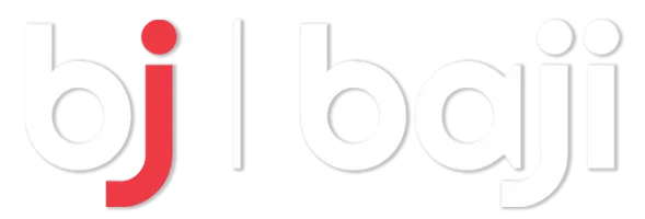 2211133bj Logo